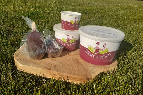 glaces-nos-racines